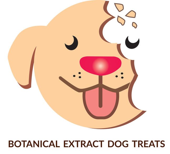 Hemp Extract Doggy Treats
